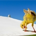 canary escape
